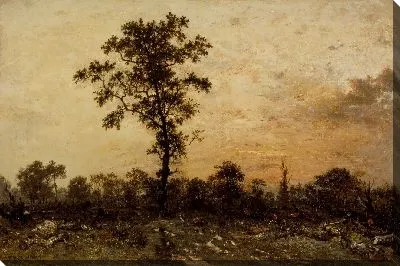 Опушка леса, заходящее солнце