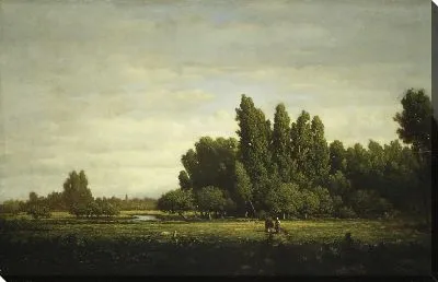 Картина Луг, граничащий с деревьями