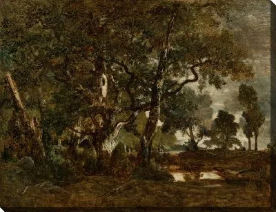 Картина Лес Фонтенбло, группа высоких деревьев, возвышающихся над равниной Клер-Буа на краю бас-Брео