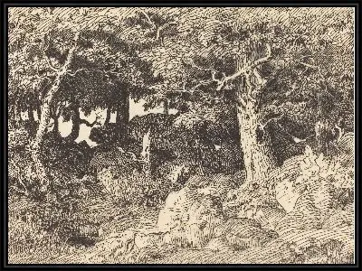 Каменные дубы