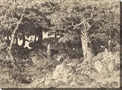 Каменные дубы