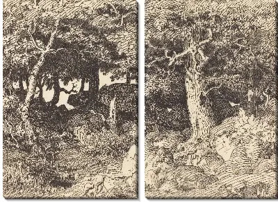 Каменные дубы