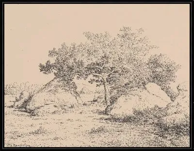 Вишневое дерево Бяу