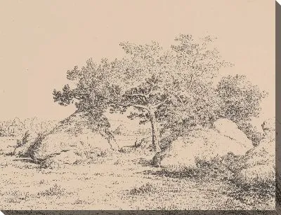 Вишневое дерево Бяу