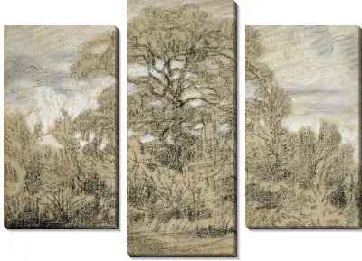 Картина Изучение дуба