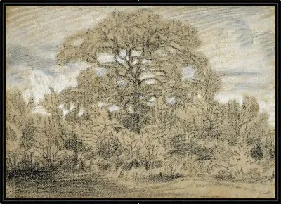 Картина Изучение дуба