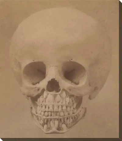 Картина 1-й и 2-й прорезывания зубов у ребенка от 6 до 12 лет