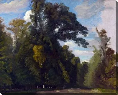 Картина Деревья в парке Сен-Клу (Trees in the Park at Saint-Cloud)