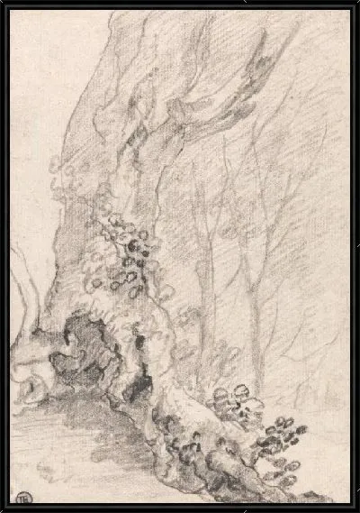 Картина Исследование старого дерева: ствол и покрытые ползучими растениями корни