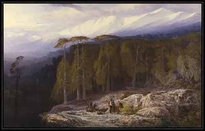 Лес Вальдо Ньелло, Корсика