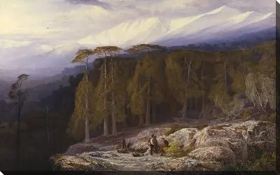 Лес Вальдо Ньелло, Корсика