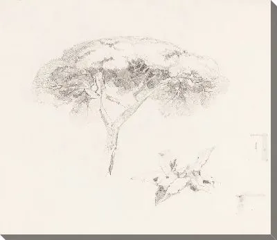 Картина Зонт Пайн и другие исследования