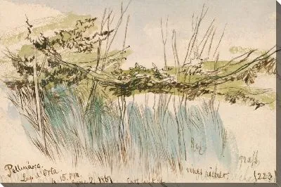 Картина Петтенаско, озеро Орта