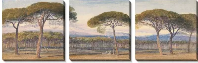 Картина Вид на сосновые леса над Каннами