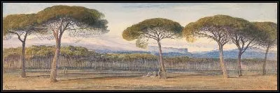 Картина Вид на сосновые леса над Каннами