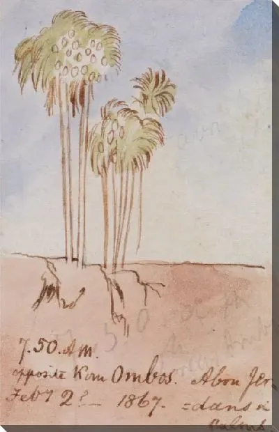 Картина Напротив Ком Омбос Абу Джер