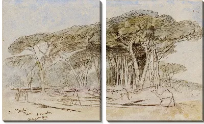 Гомбо, Пиза