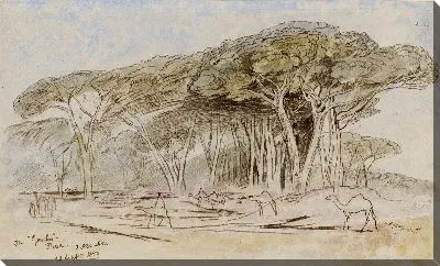 Картина Гомбо, Пиза