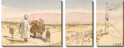 Картина Сухая трава