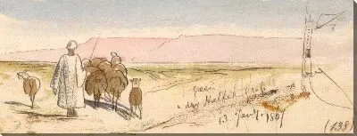 Картина Сухая трава