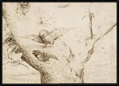 Гнездо совы 