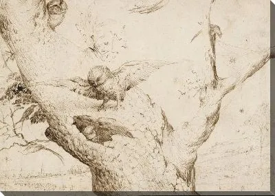 Гнездо совы 