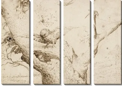 Гнездо совы 