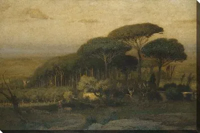 Сосновая роща виллы Барберини 