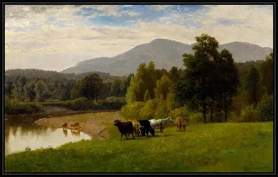 картина