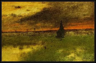 Одинокая сосна