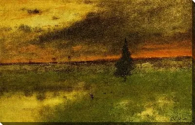 Одинокая сосна