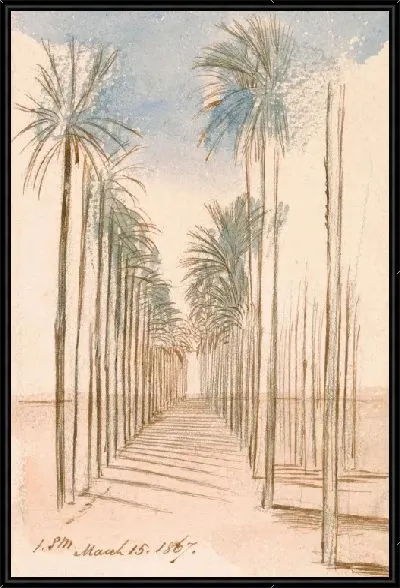 Картина Аллея Деревьев