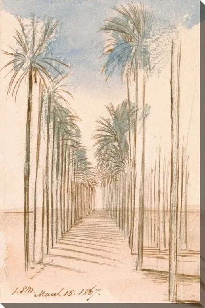 Картина Аллея Деревьев