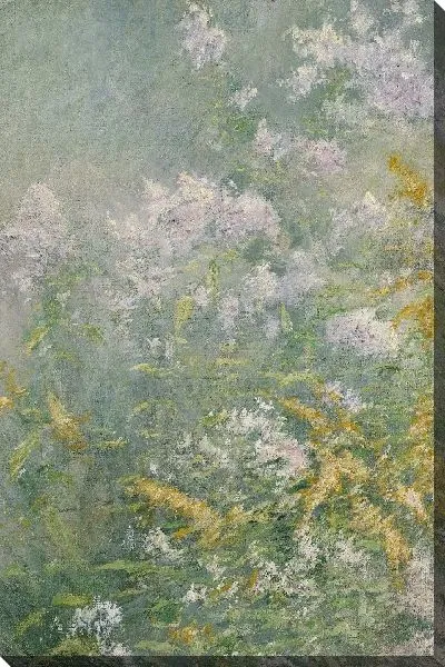 Картина Луговые цветы (золотарник и дикая астра)