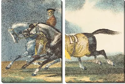 Два серо-коричневых лошади