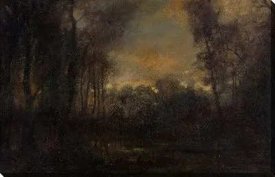 Болотный пейзаж 