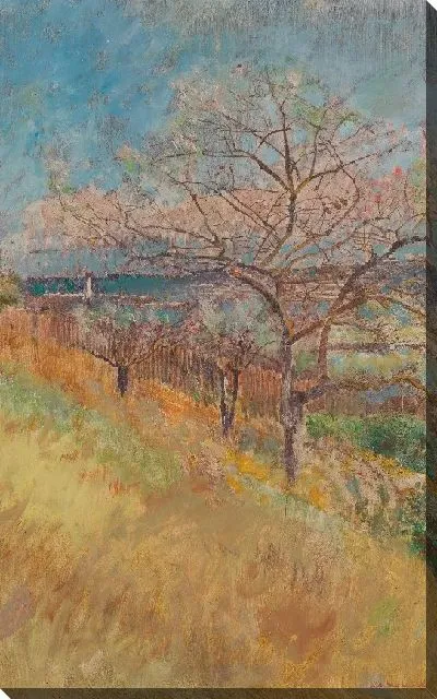 Картина Долина с деревьями в цвету 