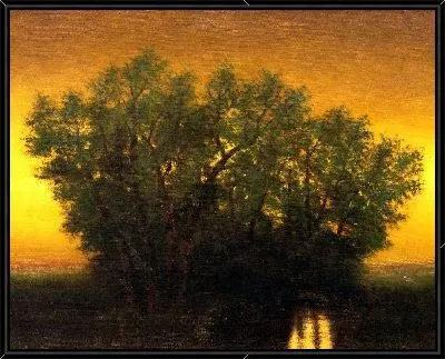 Сумерки Закат 