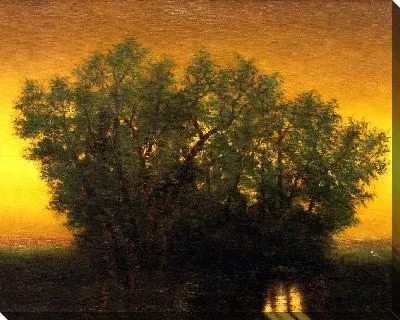 Сумерки Закат 