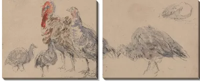 Картина Изучение индеек