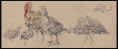 Картина Изучение индеек