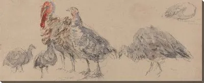 Картина Изучение индеек