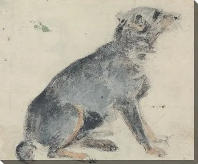 Картина Этюд собаки