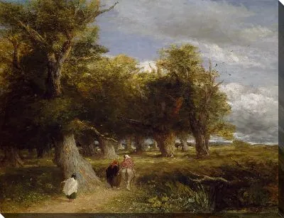 Картина Подступы к лесу