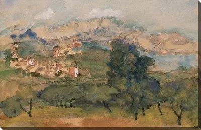 Оливковые деревья 