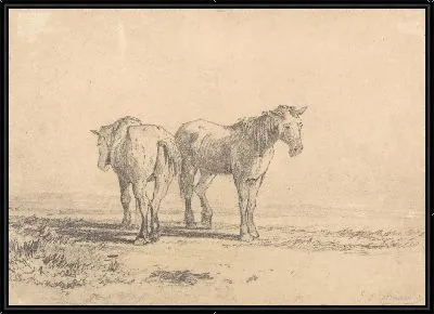 Две старые лошади стоят в поле