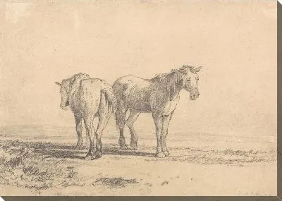 Две старые лошади стоят в поле