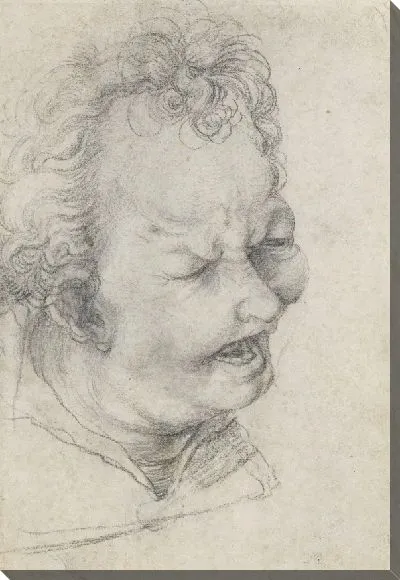 Картина Голова плачущего ребенка