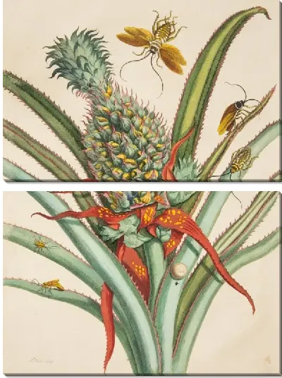 Картина Табличка 1 из диссертации "поколения насекомых и метаморфозы в Суринаме"