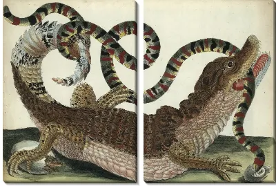 Обзор поколения и метаморфозы насекомых Суринам